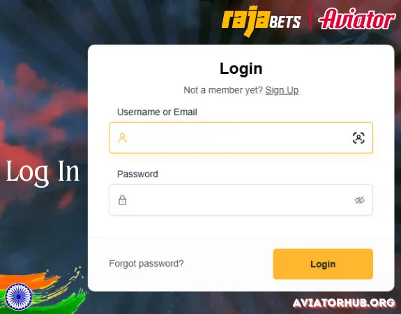 How to Log In